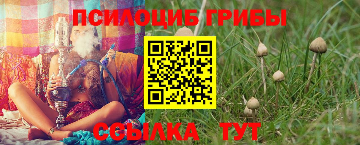 Сафоново  Псилоцибиновые грибы MAGIC MUSHROOMS  Вход с VPN  Галлюциногенные грибы MAGIC MUSHROOMS 